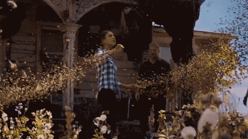 and she controls bees!